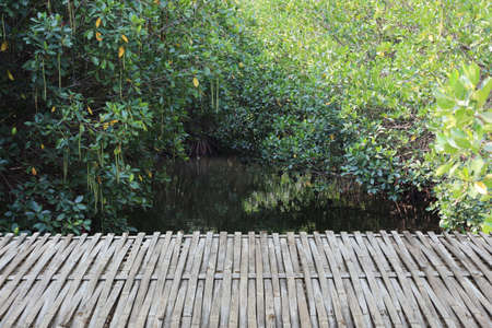 Empty Bamboo table in front of canal in the forest background. It can be used for display or montage product. Wooden terrace of the restaurant in the garden.の写真素材