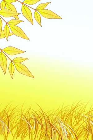 Leaves and grass Backdrop with space for textの写真素材