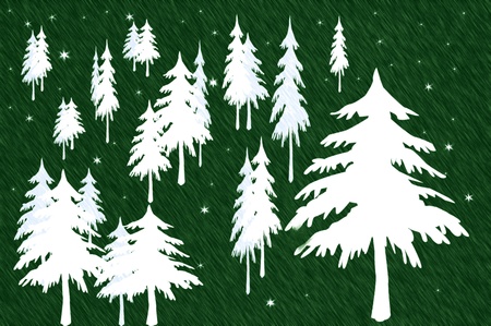 Green Forrest of White Christmas Treesの写真素材