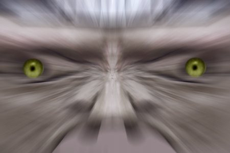 Blury Face of a man with bright yellow eyesの写真素材
