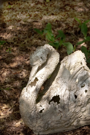 Old weathered swan garden ornament in bed of leavesの写真素材