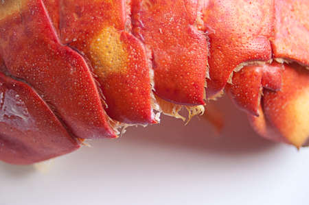 Close up of a cooked lobster tailの写真素材