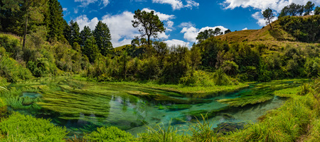 Blue Spring, the river with the purest water in New Zealand, Te Waihou Walkway, Hamilton, Waikatoの写真素材
