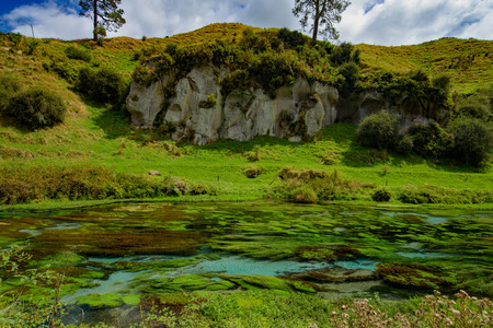 Blue Spring, the river with the purest water in New Zealand, Te Waihou Walkway, Hamilton, Waikatoの写真素材