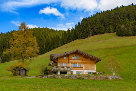 Traditional Swiss style houses on the green hills with forest in the Alps area of Switzerland, Europeのeditorial素材