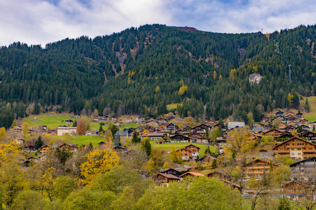 Traditional Swiss style houses on the green hills with forest in the Alps area of Switzerland, Europeの写真素材