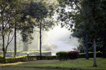 Mae Salong Hillの写真素材