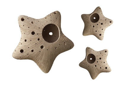 star flower pot
