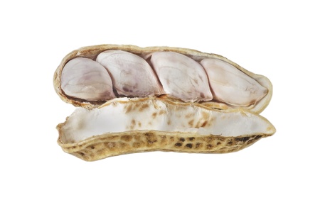 Boil peanut
