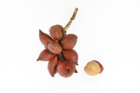 tropical fruitの写真素材