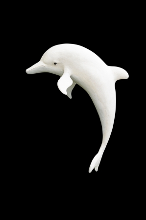 dolphinの写真素材