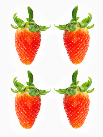 strawberryの写真素材