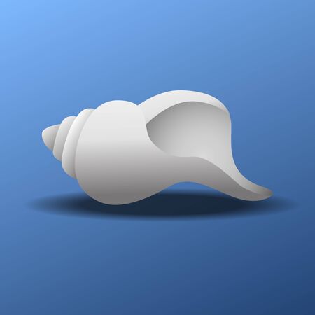 Conch shell vector illustration.のイラスト素材