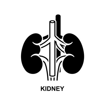 Kidney icon. Organs in the bodyÂ isolated on background vector illustration.のイラスト素材