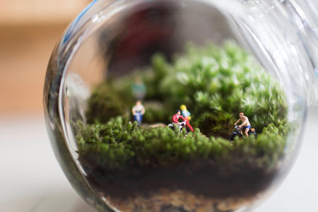 Bicycle in terrariumの写真素材