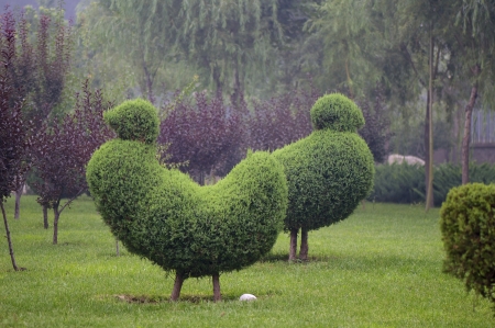 horticultural model of two chicken bird cutting treeの写真素材