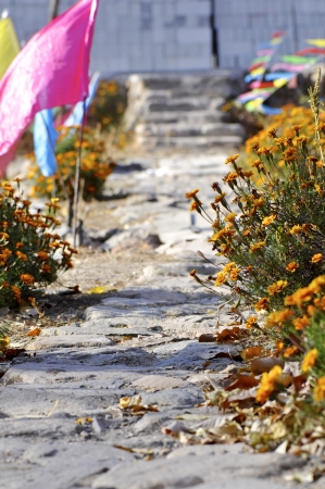 a small stone path with flowers on both sides,の写真素材