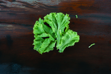 Lactuca sativa On Wood Tableの写真素材