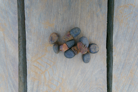 Seed of Afzelia xylocarpa on wood backgroundの写真素材