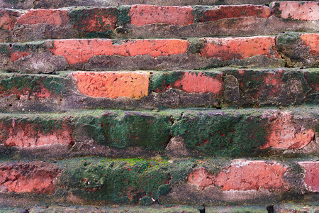 Red Brick wall full with green moss and groundの写真素材