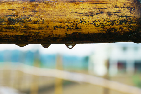 Detail closeup of water drops on a bamboo railingの写真素材