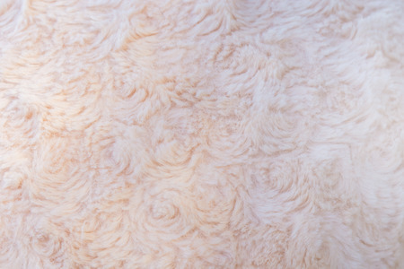 Close up fur texture backgroundの写真素材
