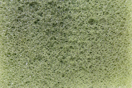 Close up Background of green spong texttureの写真素材