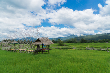 Scenery of rice field with hut for rest or relax and mountain lanscape background in clear day with blue sky and cloud.の写真素材