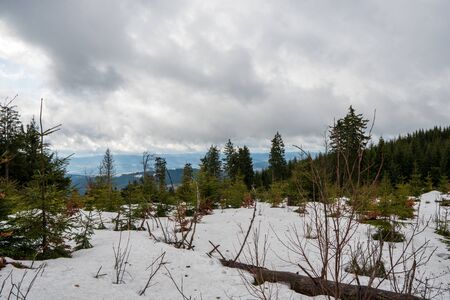 melting snow in the mountains in spring and water run off with paths, sunny day with beautiful sky, Czech Beskydyの写真素材