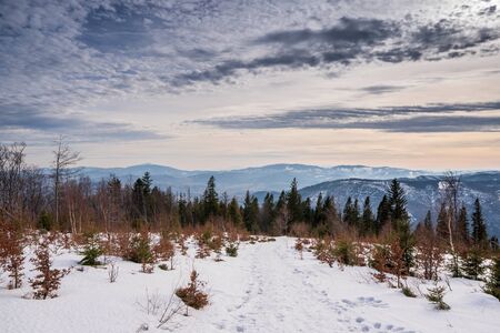 Winter landscape in mountains at sunshine day with beautiful clouds, Poland Beskids