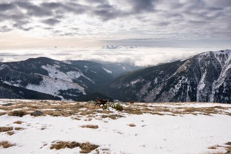 Snow covered mountains with clouds and mist in valley, Low Tatras Dumbier, Slovakiaの写真素材