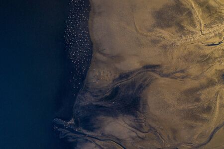 Aerial shot of a drying lake and the aftermath of it, with a large flock of herons ashore