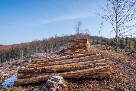 A pile of tree trunk in the mountains ready for transport