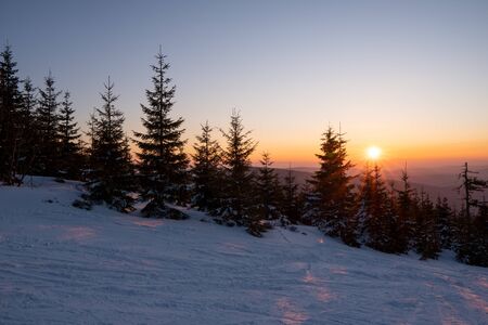 Sunrise in the mountains with trees and tracks from skis in the snowの写真素材