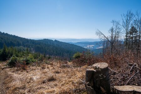 View of hills and valleys covered with spruces in the mountains, Czech Beskydyの写真素材