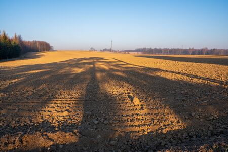Field at sunrise with a little fog and beautiful colors in springの写真素材