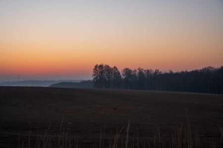beautiful field at sunrise with forest in backgroundの写真素材