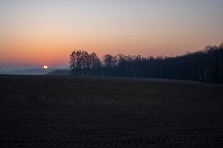 beautiful field at sunrise with forest in backgroundの写真素材