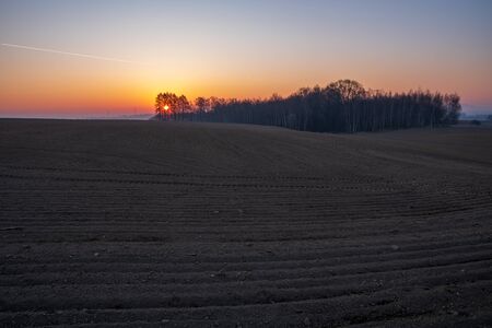 sunrise on a field ready for seedlings with trees in the backgroundの写真素材