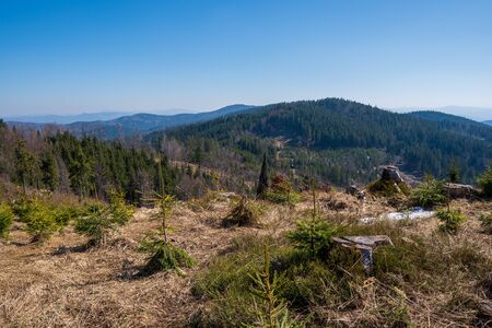 View of hills and valleys covered with spruces in the mountains, Czech Beskydyの写真素材