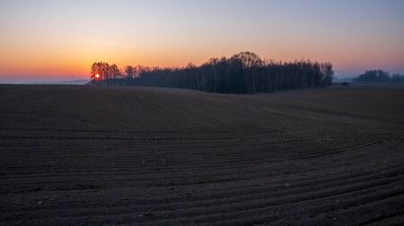 beautiful field at sunrise with forest in backgroundの写真素材