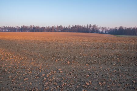 Field at sunrise with a little fog and beautiful colors in springの写真素材