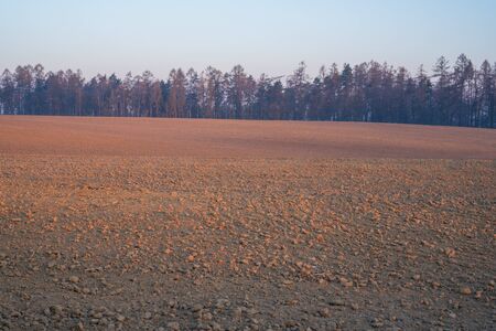 field at sunrise with trees, czechの写真素材