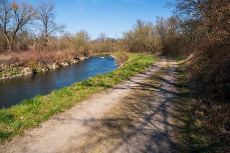 dirt road with river and trees around, in Czech Olzaの写真素材