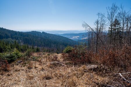 View of hills and valleys covered with spruces in the mountains, Czech Beskydyの写真素材
