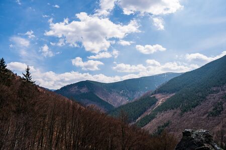 fallen leafed trees in the mountains with a rock in the foreground, czech jeseniky mountainsの写真素材
