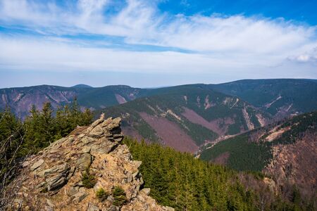 beautiful view of the mountains covered with spruce trees with a beautiful sky in Jeseniky mountains, Czech Praded in the backgroundの写真素材