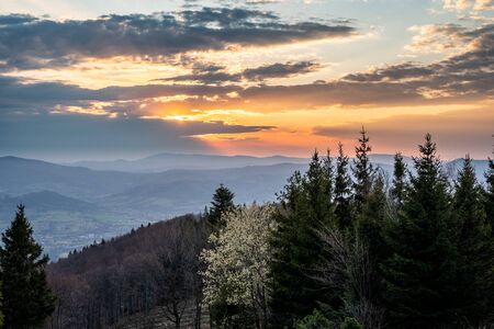 sunrise in the mountains with forest in the foreground with beautiful sky, czech republic beskydy Javorovy vrchの写真素材