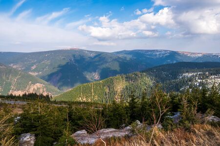 spruce forests in the mountains with a beautiful sky on a sunny day, Czech Jeseniky mountainsの写真素材