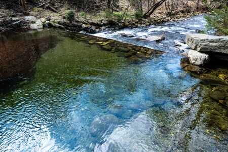 in the mountains beautifully transparent full of leaves at the bottomの写真素材